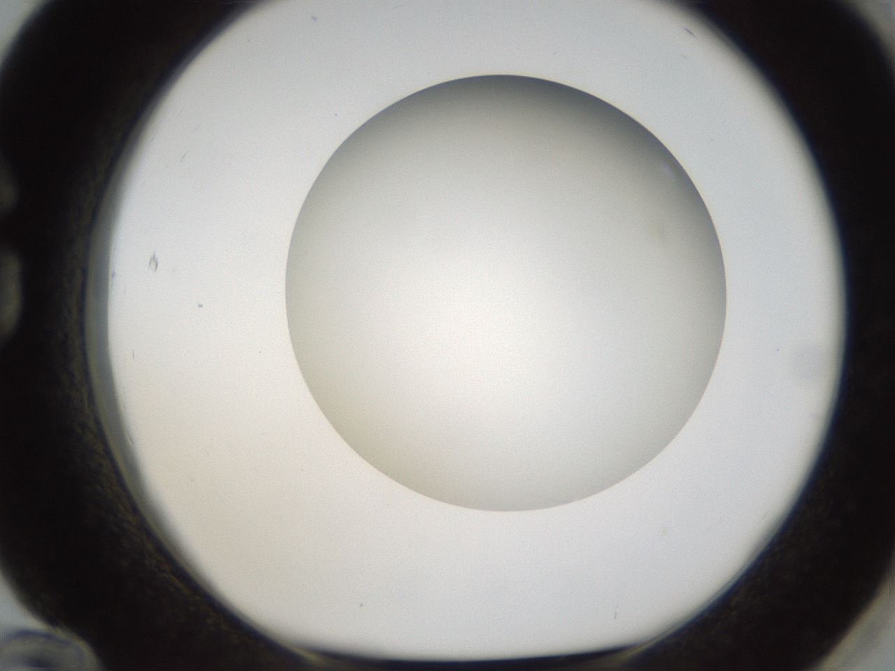 folderID303_plateID1303_batchID4266_wellNum84_profileID1_d1_r78571_ef.jpg