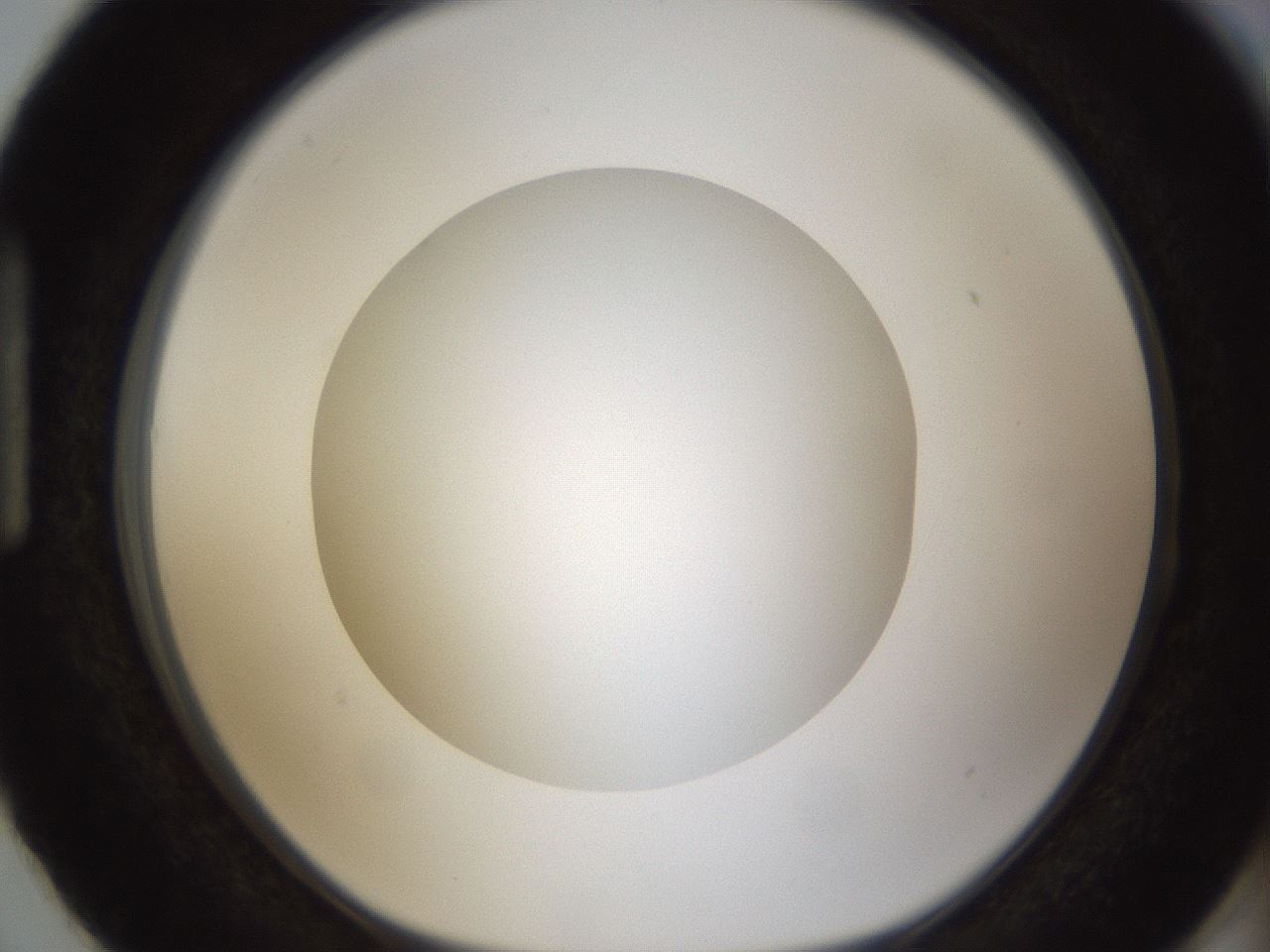 folderID303_plateID1303_batchID4266_wellNum87_profileID1_d1_r78574_ef.jpg