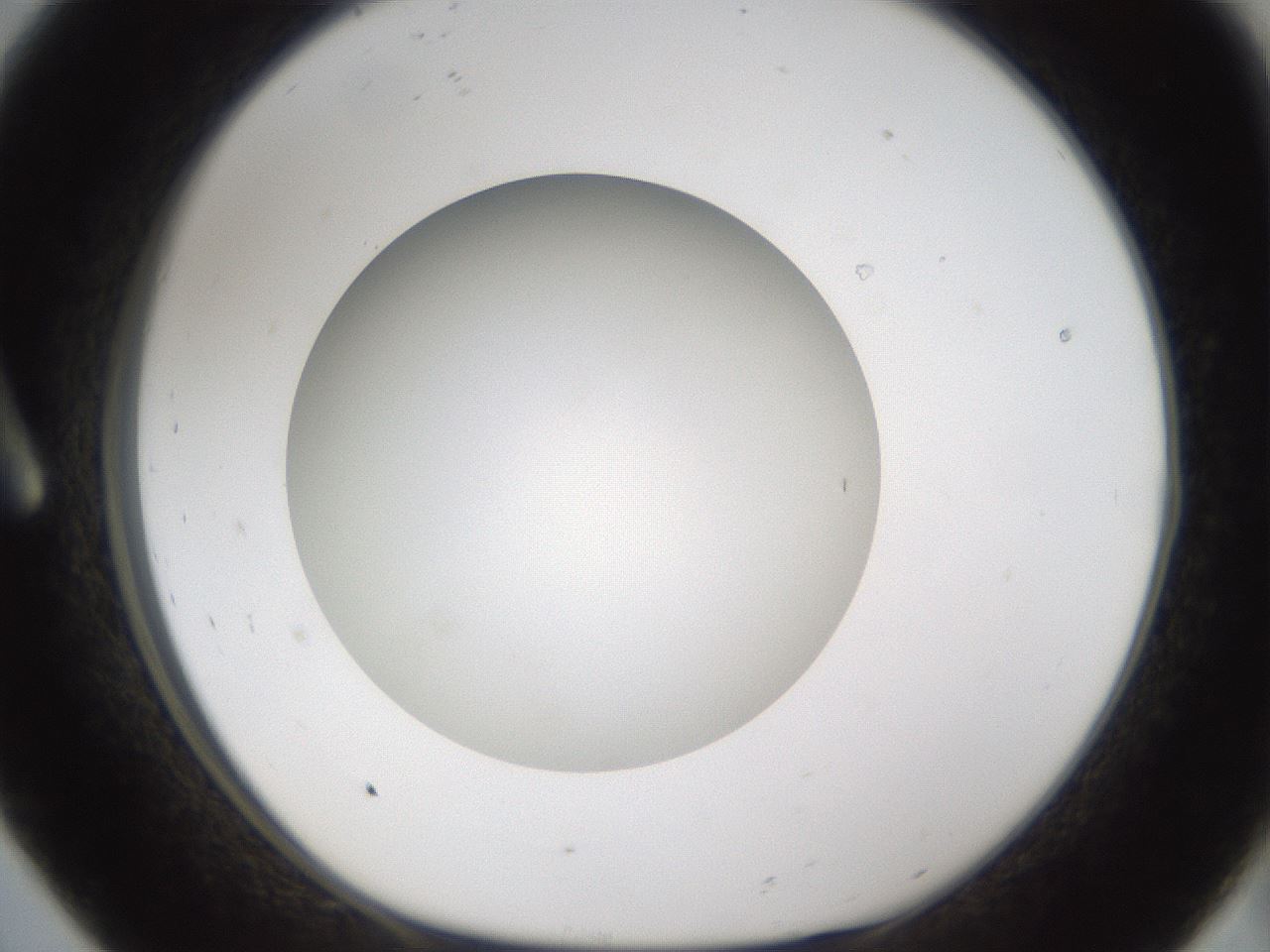 folderID303_plateID1303_batchID4266_wellNum8_profileID1_d1_r78495_ef.jpg