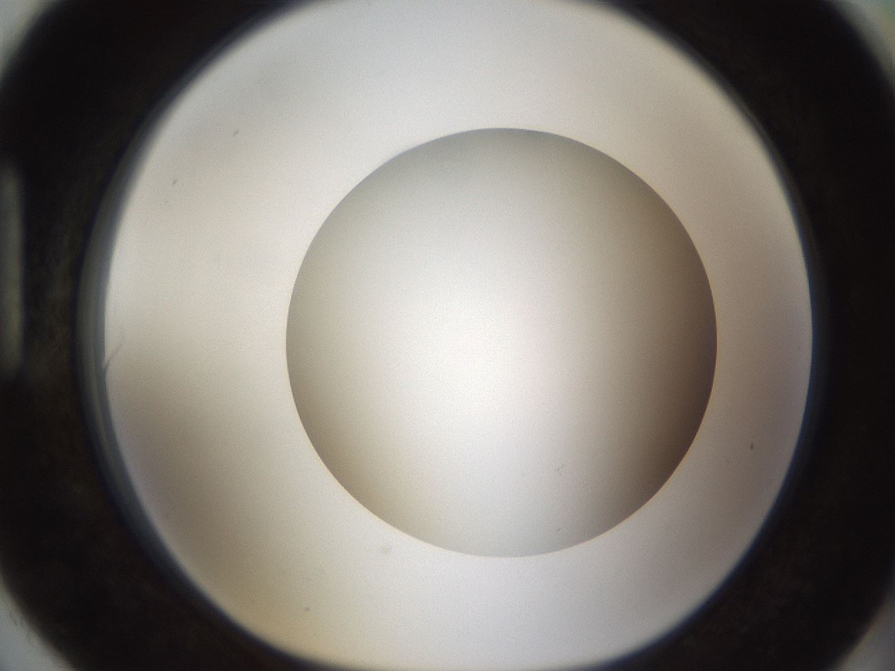 folderID303_plateID1303_batchID4266_wellNum90_profileID1_d1_r78577_ef.jpg