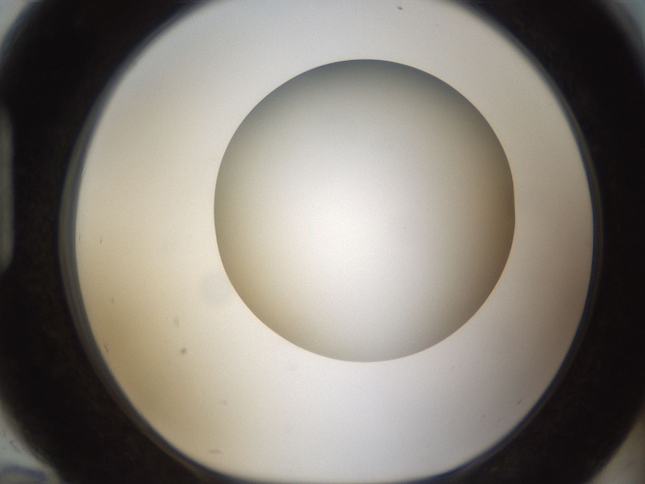 folderID303_plateID1303_batchID4266_wellNum94_profileID1_d1_r78581_ef.jpg
