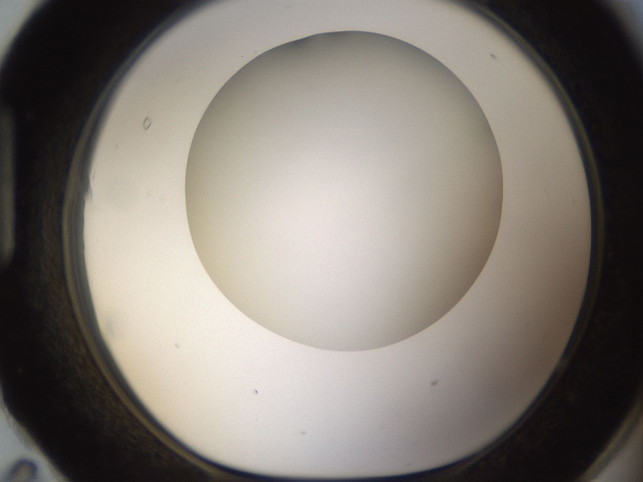 folderID303_plateID1303_batchID4266_wellNum95_profileID1_d1_r78582_ef.jpg