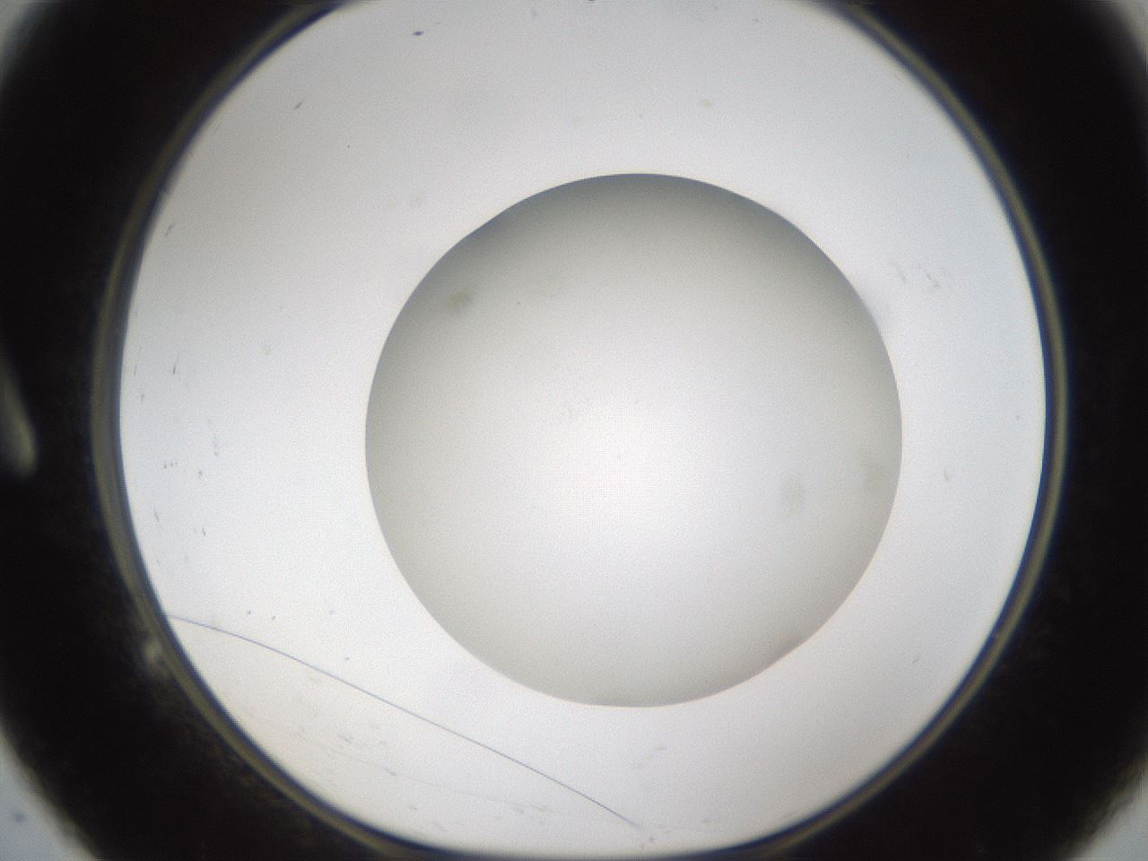 folderID303_plateID1303_batchID4266_wellNum9_profileID1_d1_r78496_ef.jpg