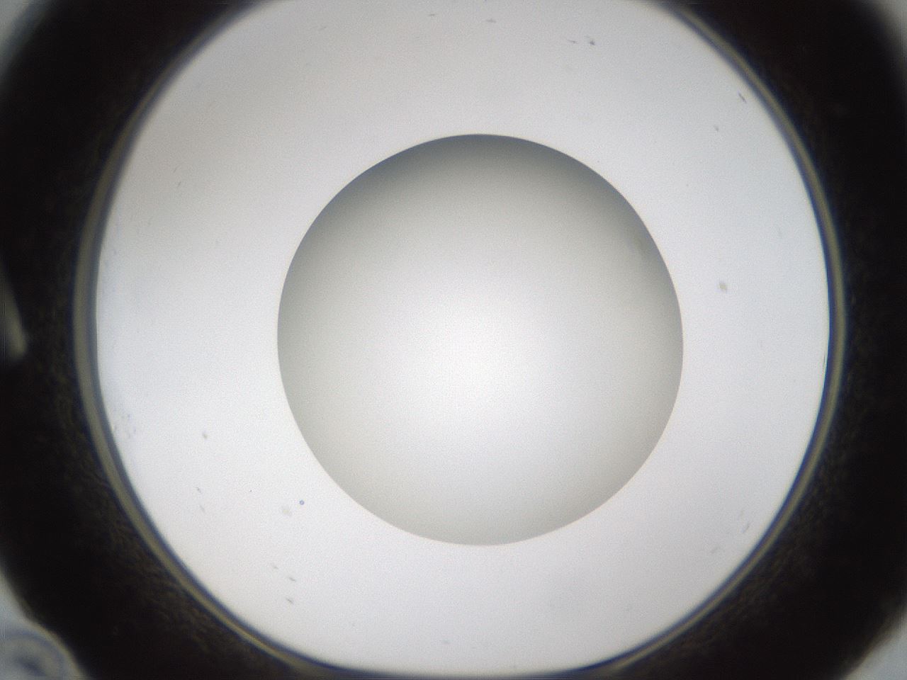 folderID303_plateID1303_batchID4303_wellNum10_profileID1_d1_r78497_ef.jpg