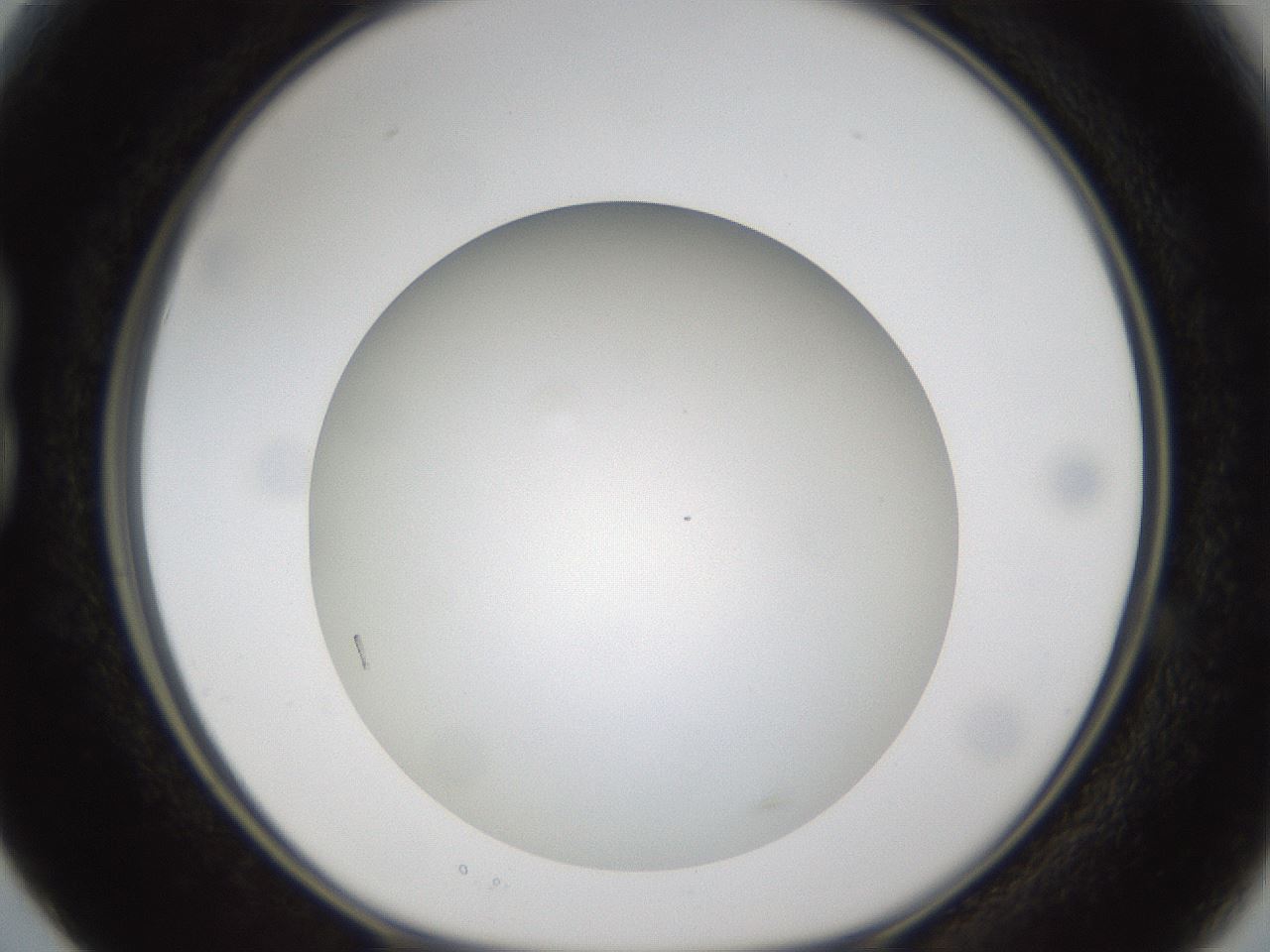 folderID303_plateID1303_batchID4303_wellNum15_profileID1_d1_r78502_ef.jpg