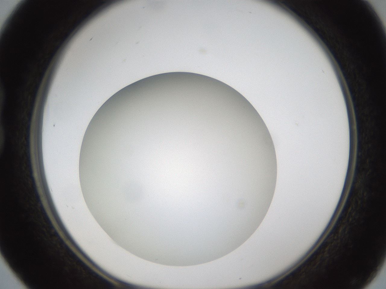 folderID303_plateID1303_batchID4303_wellNum16_profileID1_d1_r78503_ef.jpg