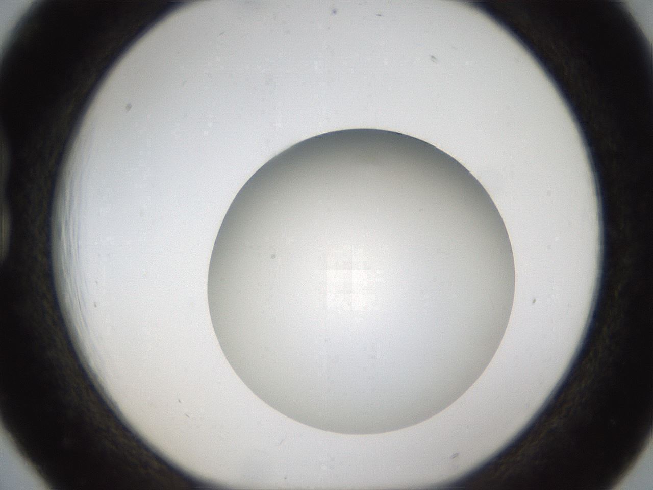 folderID303_plateID1303_batchID4303_wellNum18_profileID1_d1_r78505_ef.jpg
