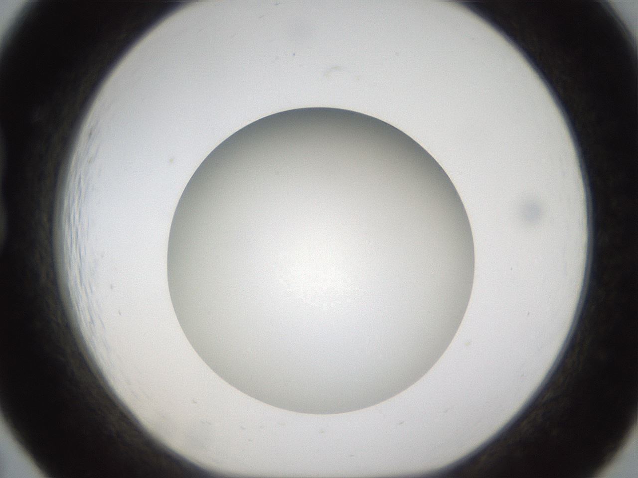 folderID303_plateID1303_batchID4303_wellNum19_profileID1_d1_r78506_ef.jpg