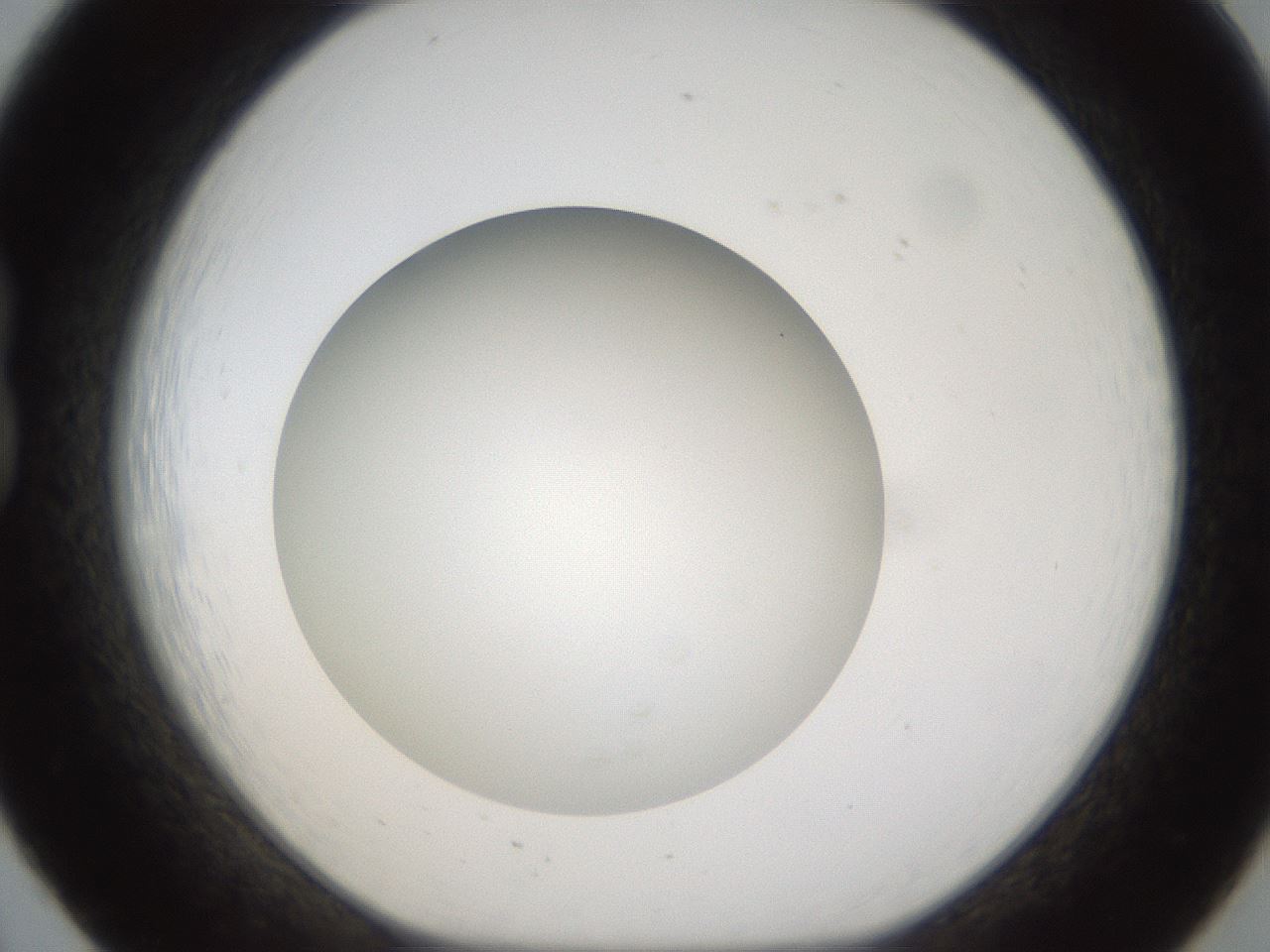 folderID303_plateID1303_batchID4303_wellNum20_profileID1_d1_r78507_ef.jpg