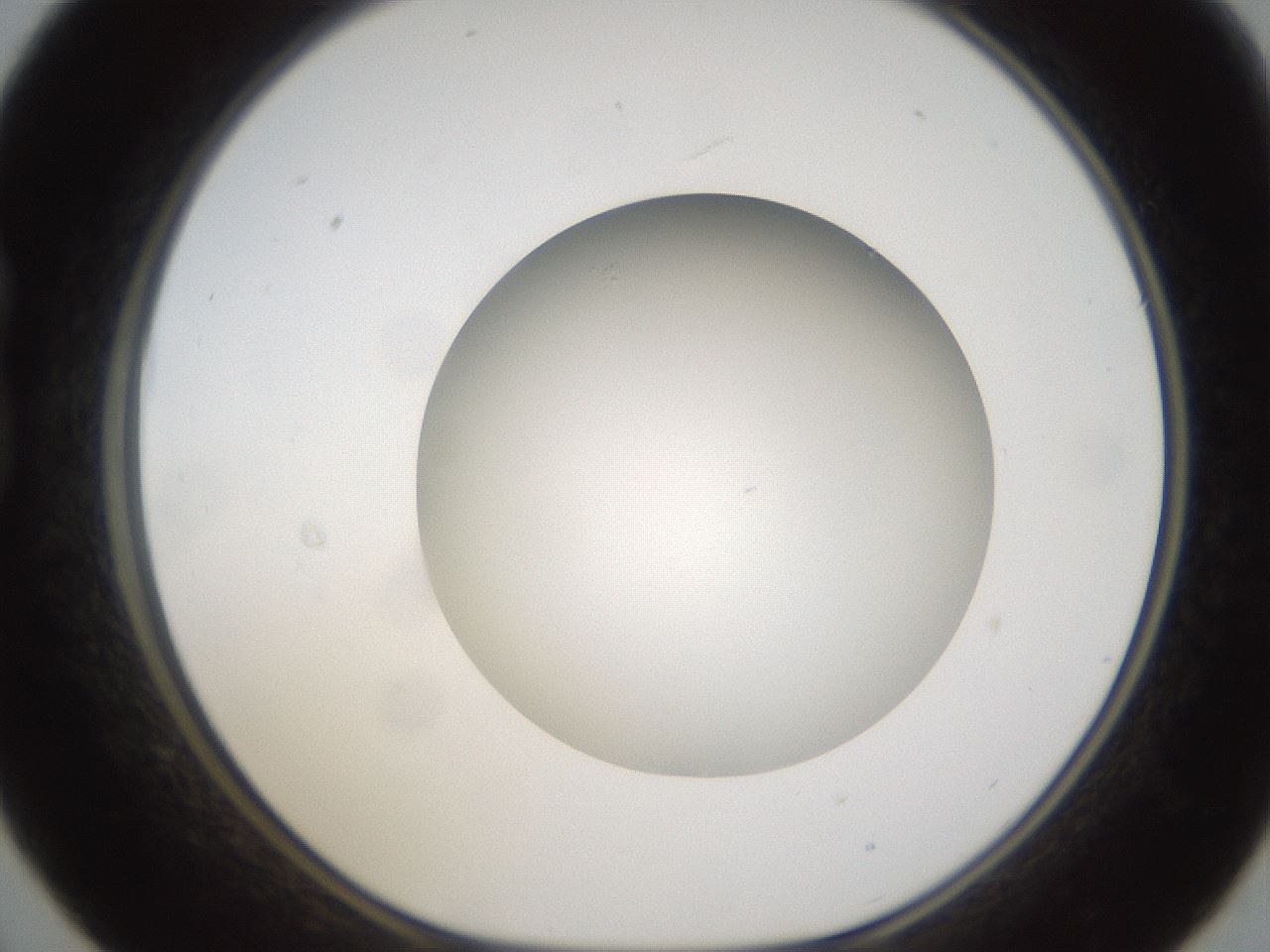 folderID303_plateID1303_batchID4303_wellNum21_profileID1_d1_r78508_ef.jpg