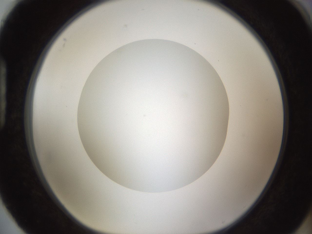 folderID303_plateID1303_batchID4266_wellNum88_profileID1_d1_r78575_ef.jpg