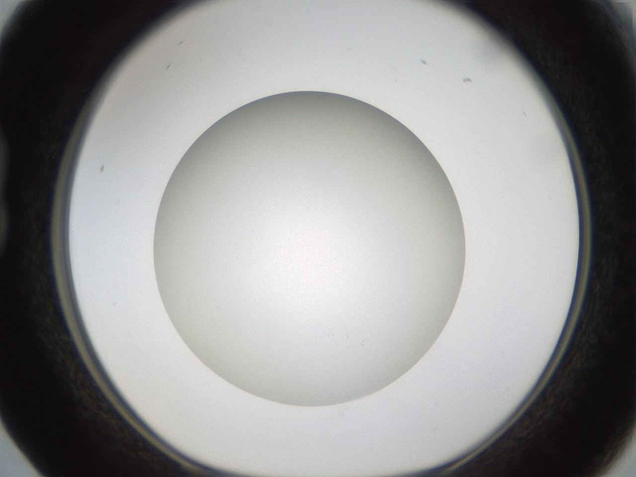 folderID303_plateID1303_batchID4303_wellNum17_profileID1_d1_r78504_ef.jpg
