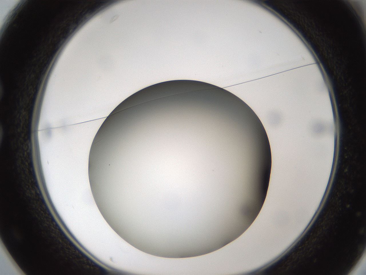 folderID303_plateID1303_batchID4303_wellNum25_profileID1_d1_r78512_ef.jpg