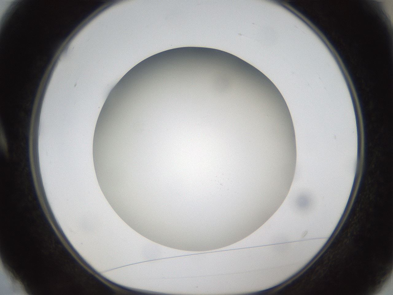 folderID303_plateID1303_batchID4303_wellNum4_profileID1_d1_r78491_ef.jpg