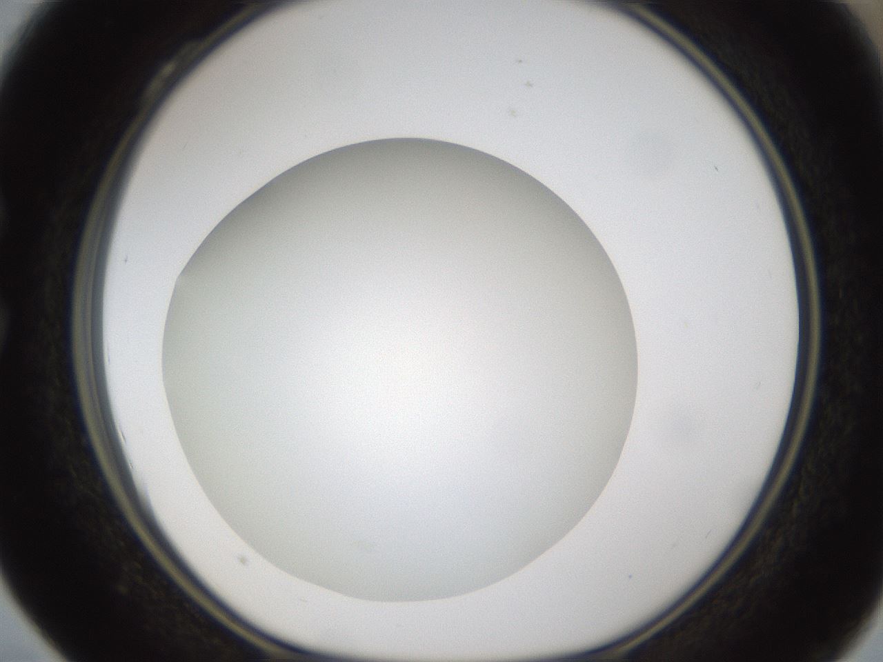 folderID303_plateID1303_batchID4303_wellNum28_profileID1_d1_r78515_ef.jpg