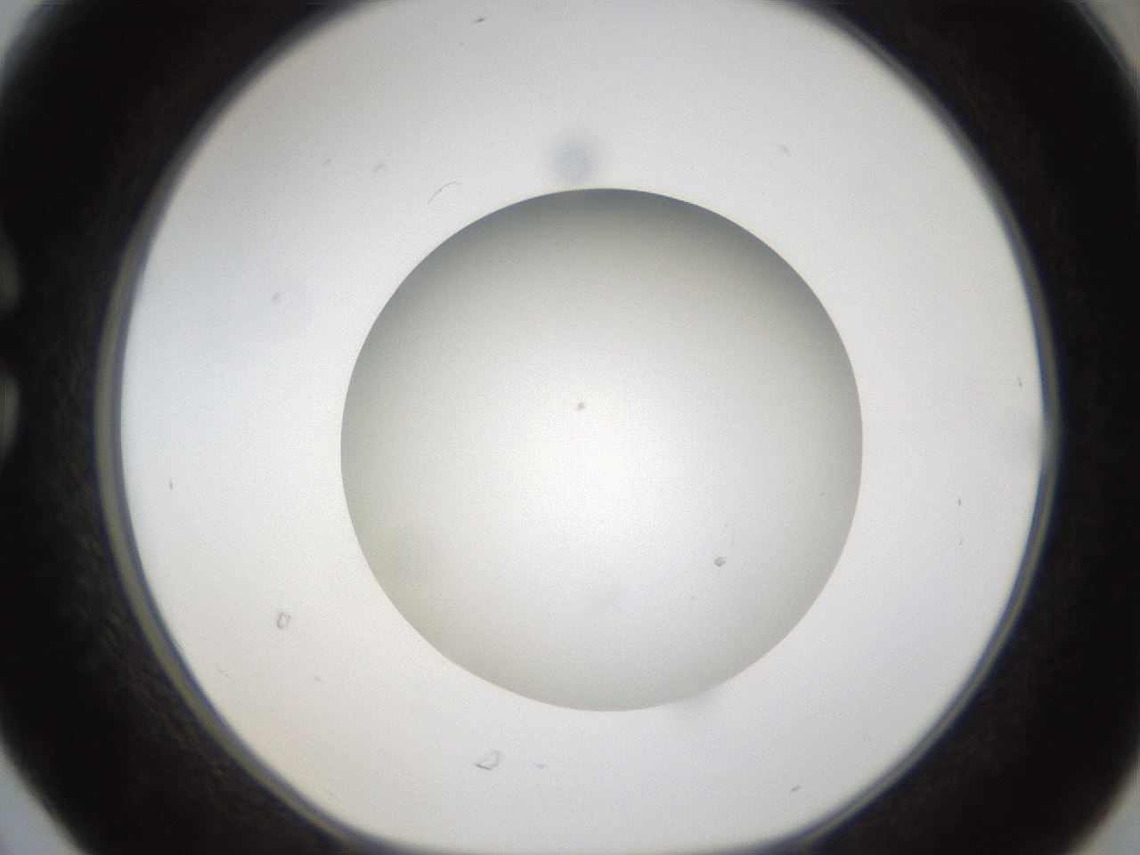 folderID303_plateID1303_batchID4303_wellNum30_profileID1_d1_r78517_ef.jpg