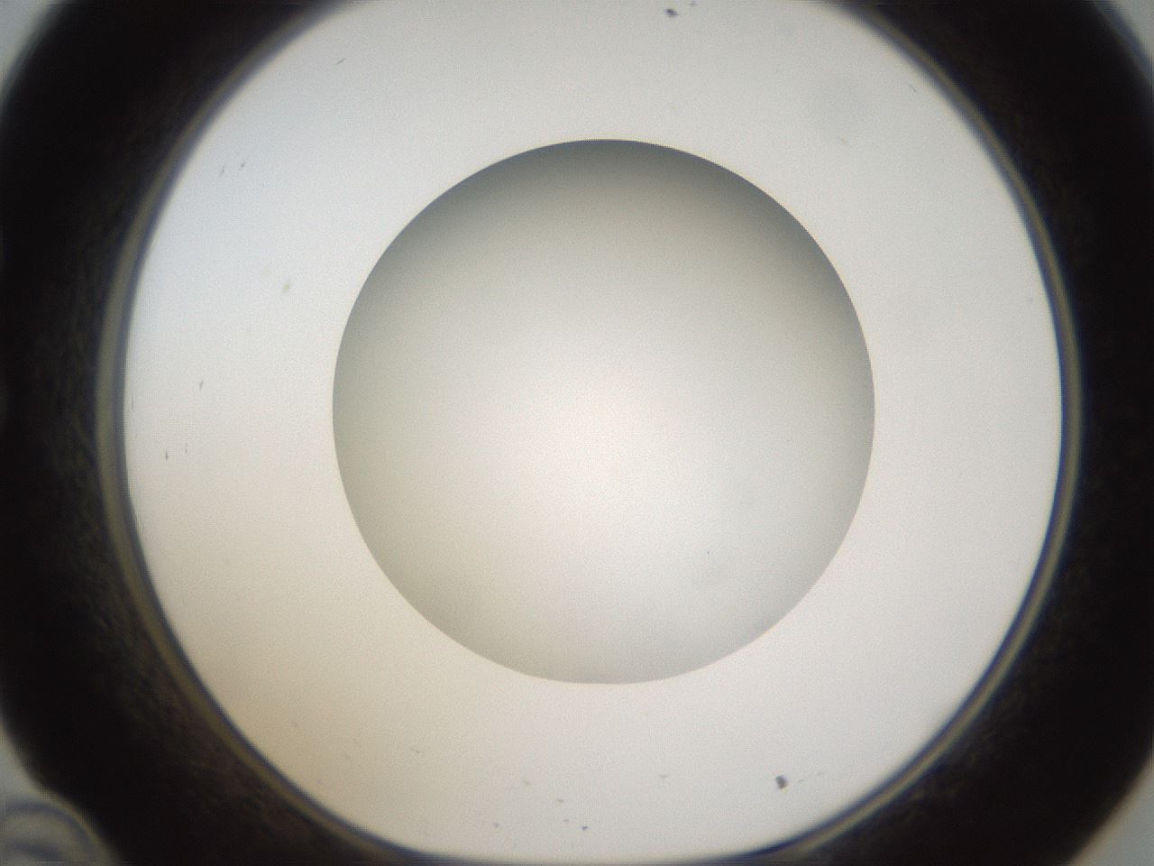 folderID303_plateID1303_batchID4303_wellNum34_profileID1_d1_r78521_ef.jpg