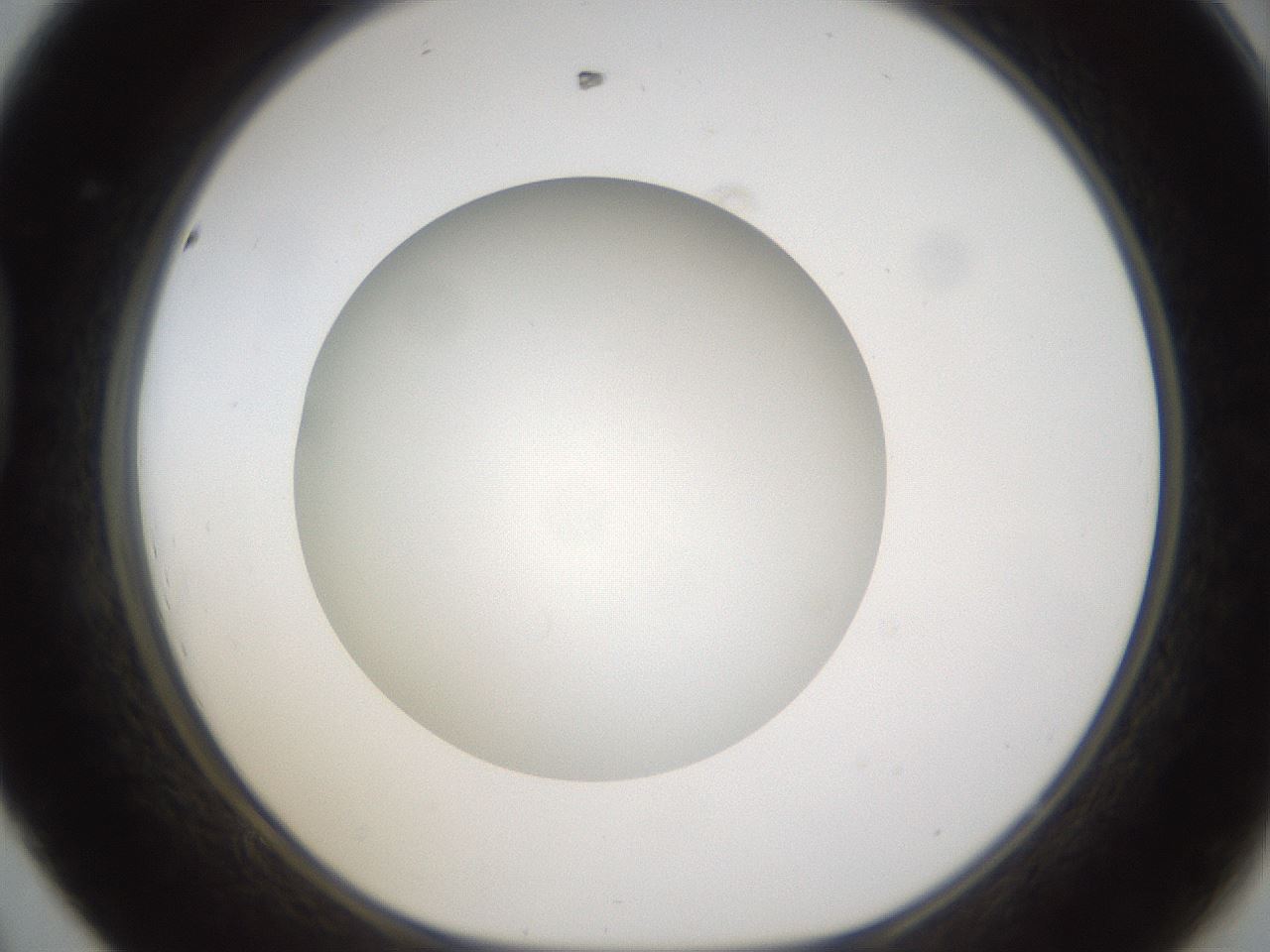 folderID303_plateID1303_batchID4303_wellNum44_profileID1_d1_r78531_ef.jpg