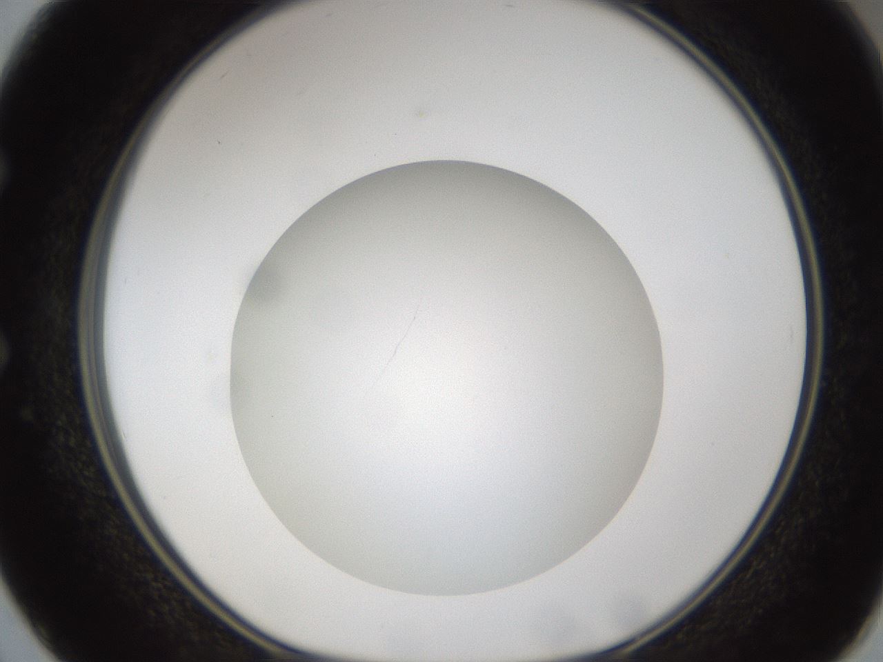 folderID303_plateID1303_batchID4303_wellNum50_profileID1_d1_r78537_ef.jpg