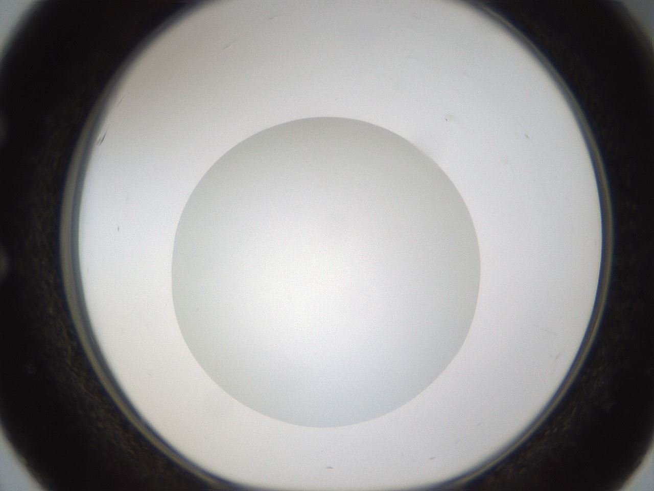 folderID303_plateID1303_batchID4303_wellNum51_profileID1_d1_r78538_ef.jpg