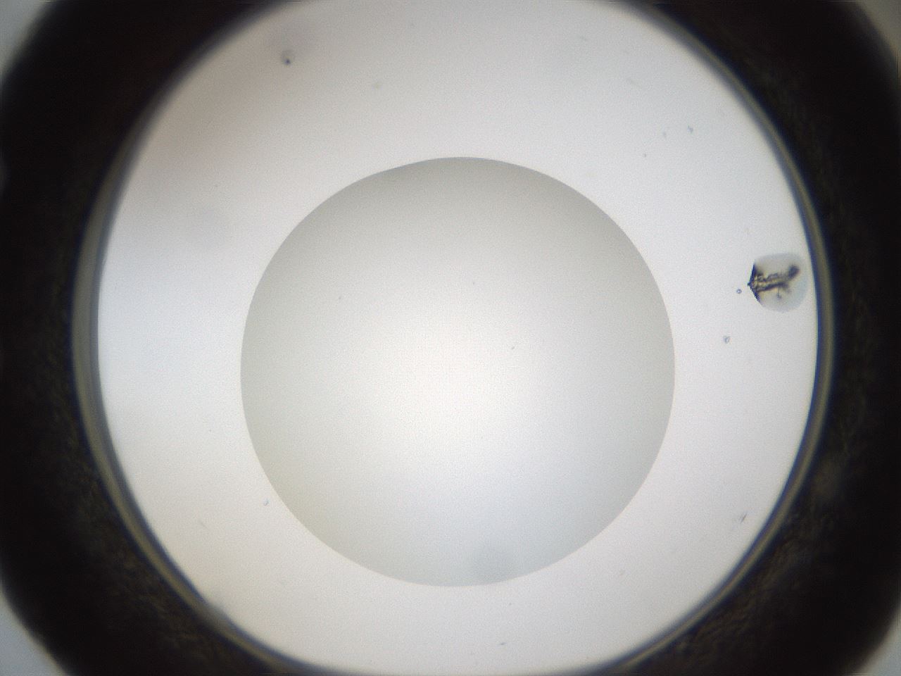 folderID303_plateID1303_batchID4303_wellNum52_profileID1_d1_r78539_ef.jpg