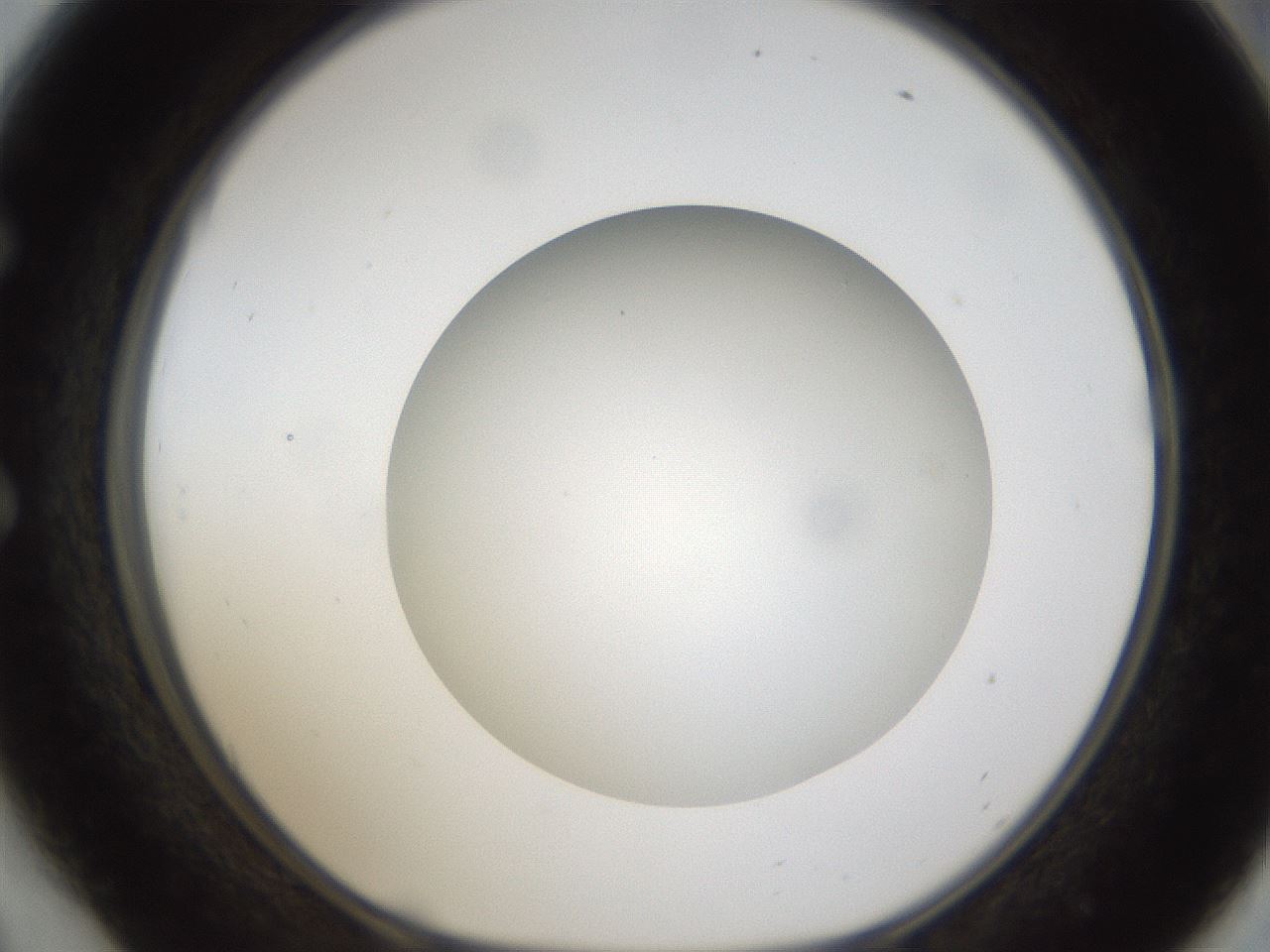 folderID303_plateID1303_batchID4303_wellNum54_profileID1_d1_r78541_ef.jpg