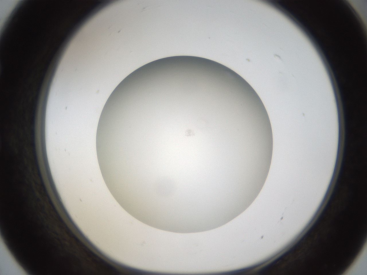 folderID303_plateID1303_batchID4303_wellNum55_profileID1_d1_r78542_ef.jpg