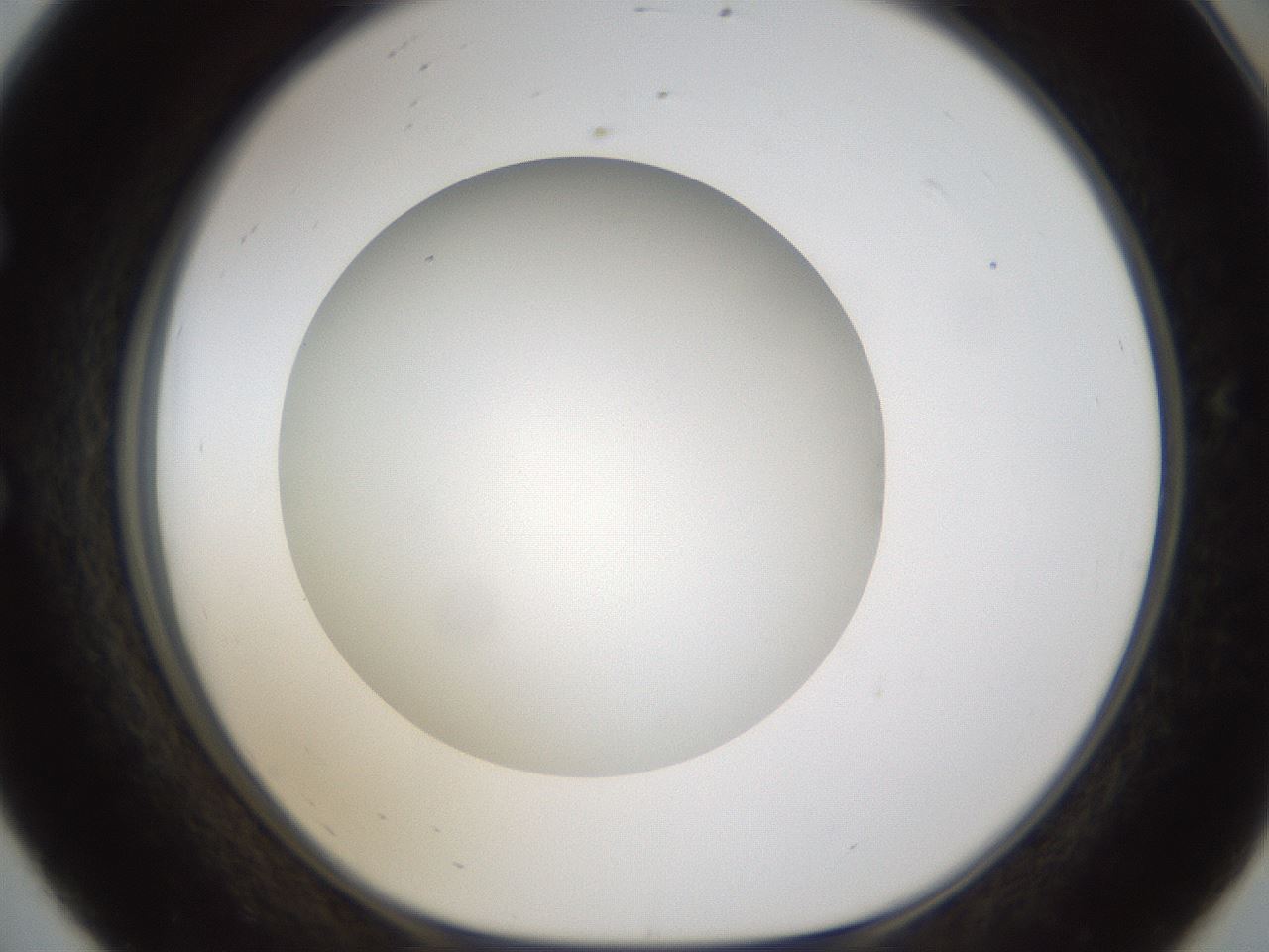 folderID303_plateID1303_batchID4303_wellNum56_profileID1_d1_r78543_ef.jpg