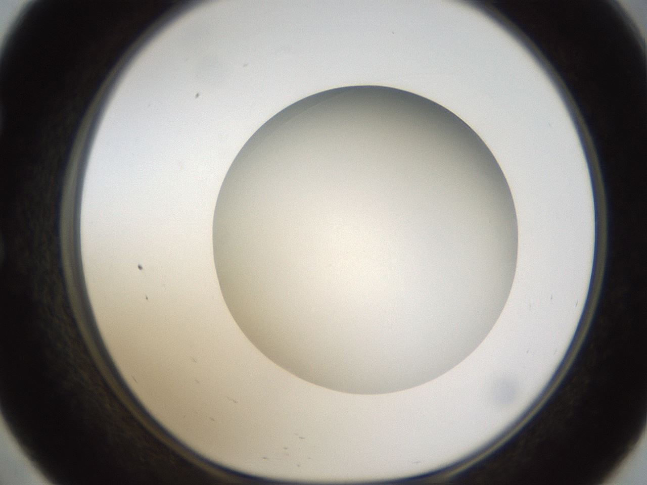 folderID303_plateID1303_batchID4303_wellNum57_profileID1_d1_r78544_ef.jpg