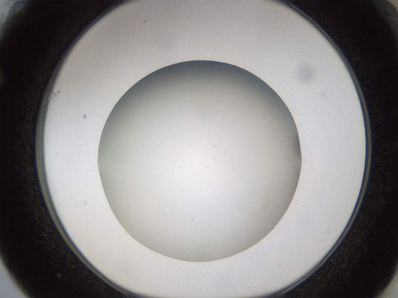 folderID303_plateID1303_batchID4303_wellNum61_profileID1_d1_r78548_ef.jpg