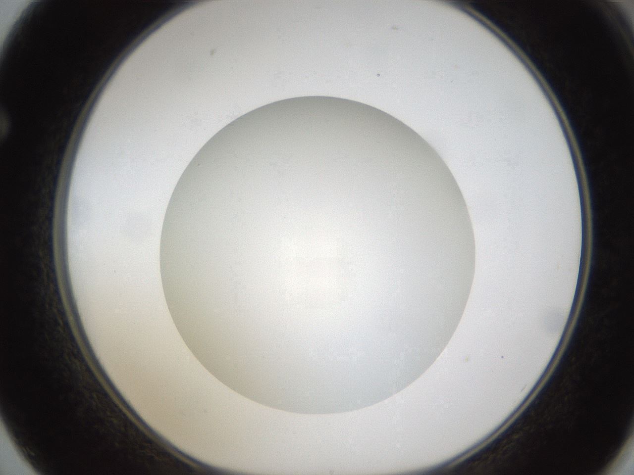 folderID303_plateID1303_batchID4303_wellNum62_profileID1_d1_r78549_ef.jpg