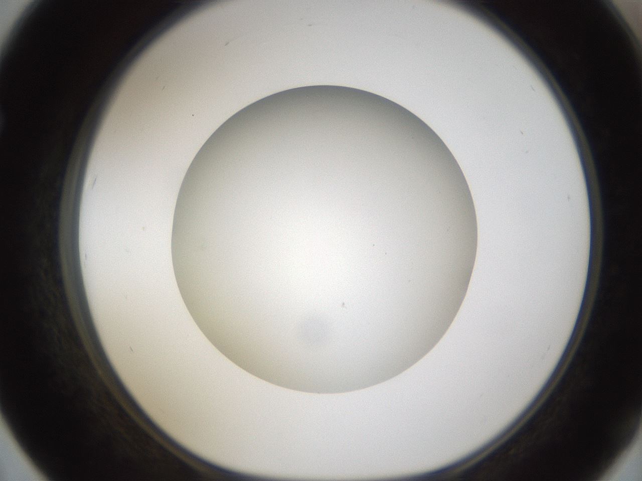 folderID303_plateID1303_batchID4303_wellNum67_profileID1_d1_r78554_ef.jpg