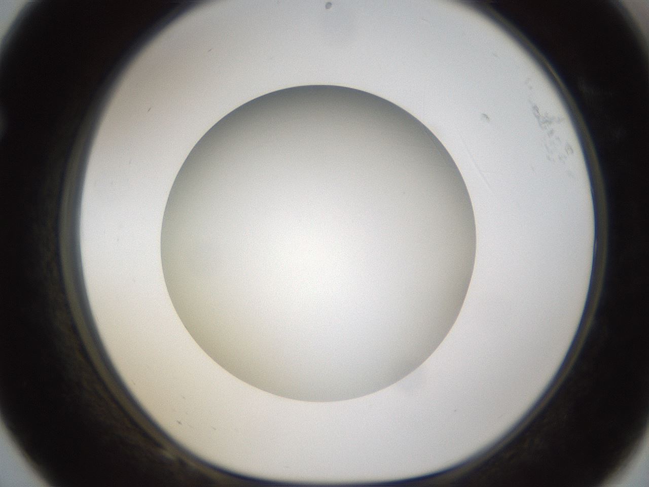 folderID303_plateID1303_batchID4303_wellNum68_profileID1_d1_r78555_ef.jpg