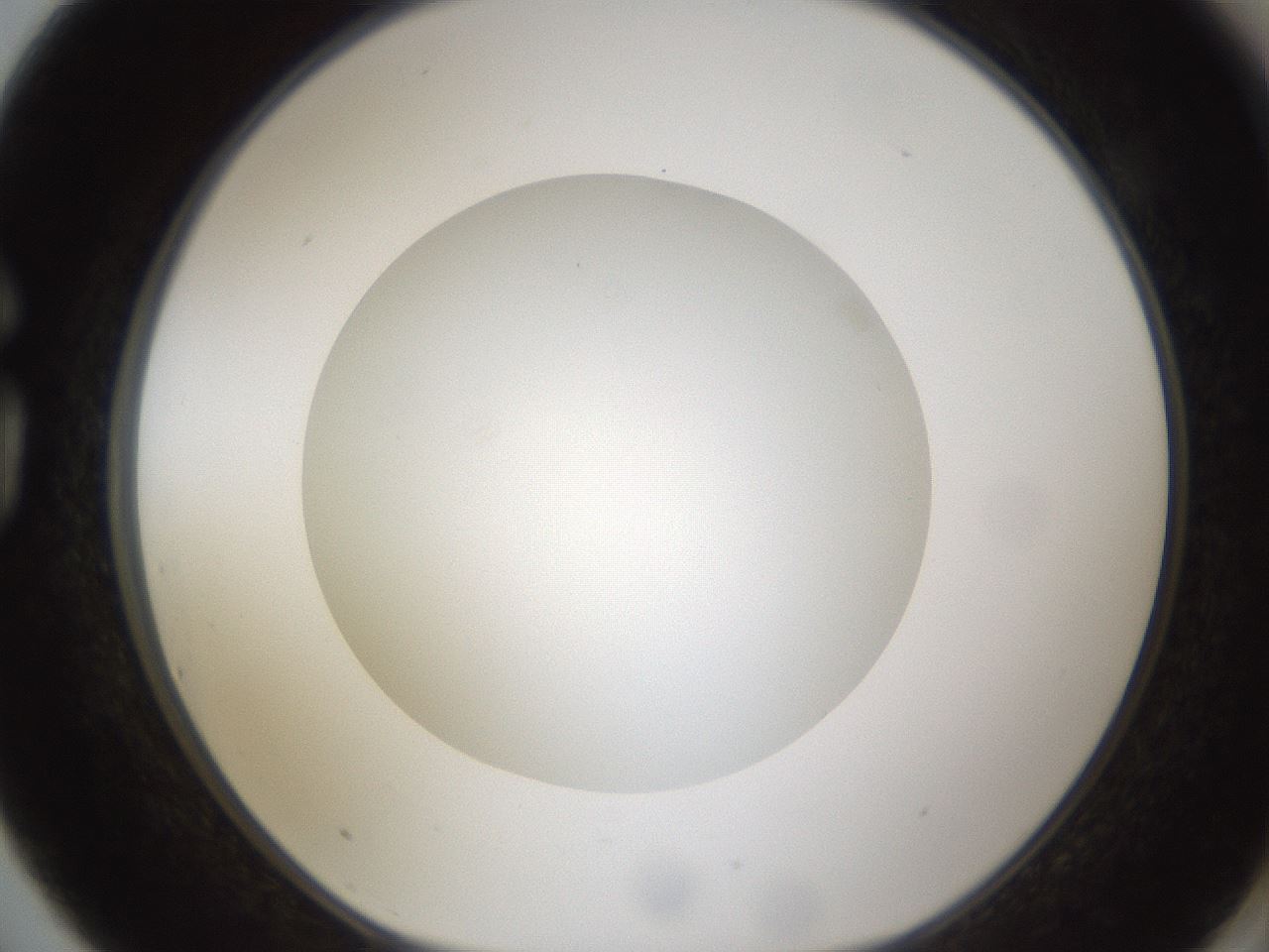 folderID303_plateID1303_batchID4303_wellNum75_profileID1_d1_r78562_ef.jpg