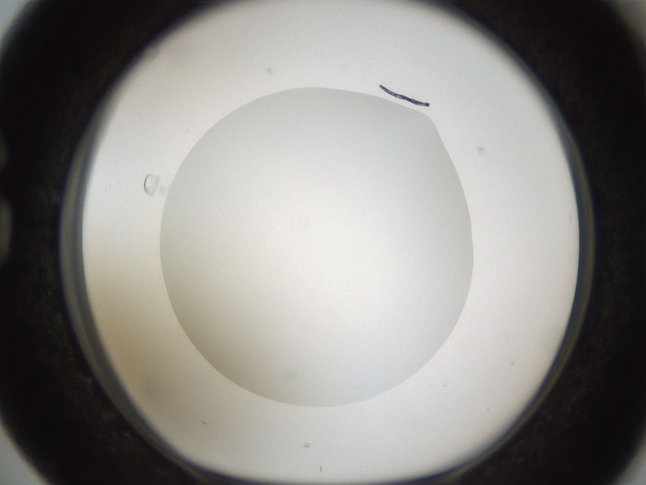 folderID303_plateID1303_batchID4303_wellNum76_profileID1_d1_r78563_ef.jpg
