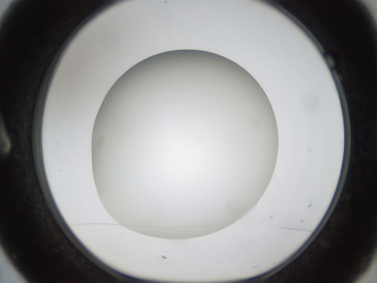 folderID303_plateID1303_batchID4303_wellNum7_profileID1_d1_r78494_ef.jpg