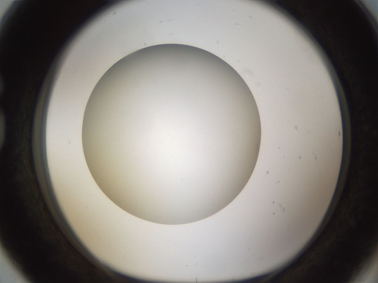 folderID303_plateID1303_batchID4303_wellNum80_profileID1_d1_r78567_ef.jpg