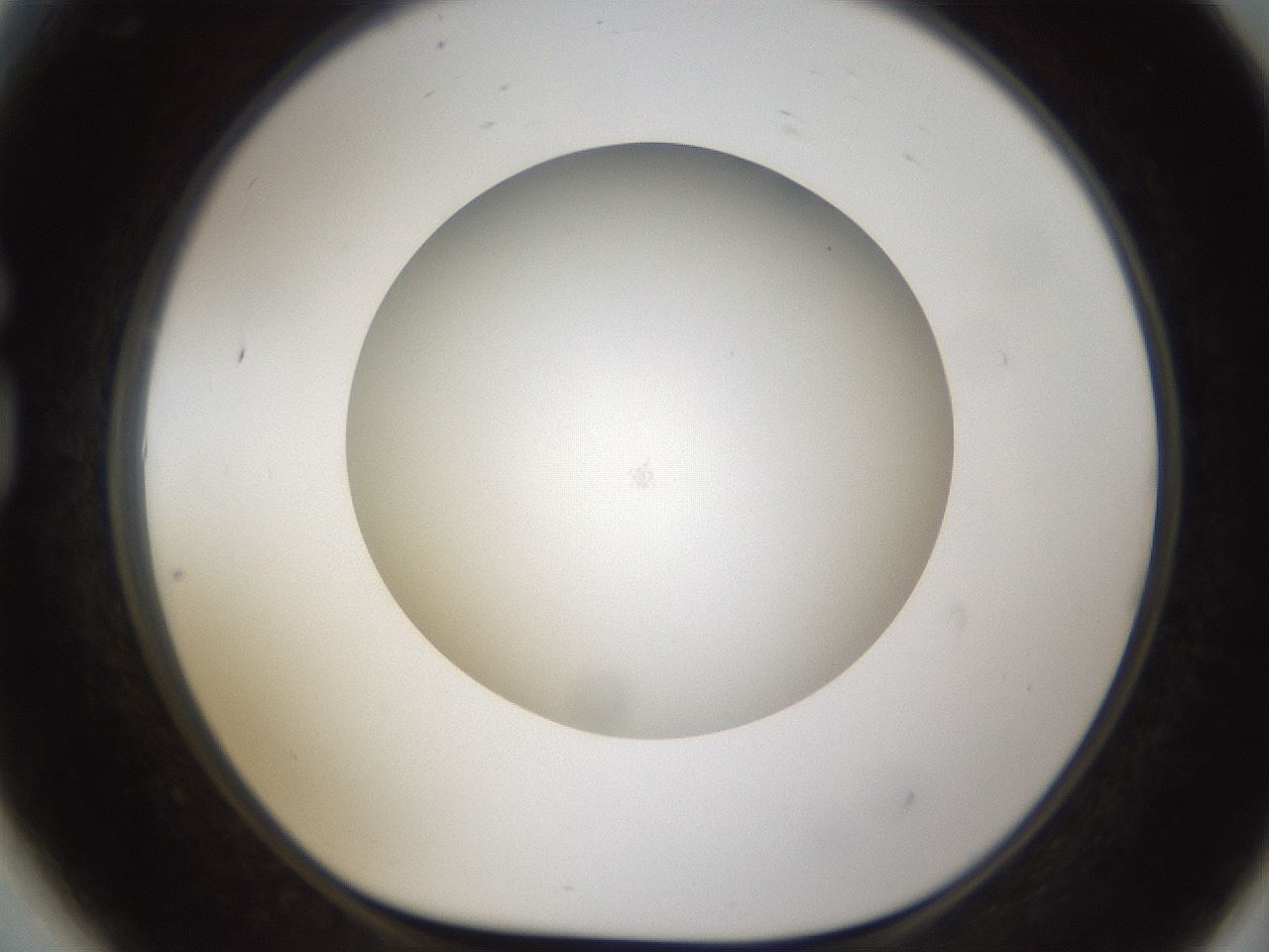 folderID303_plateID1303_batchID4303_wellNum81_profileID1_d1_r78568_ef.jpg