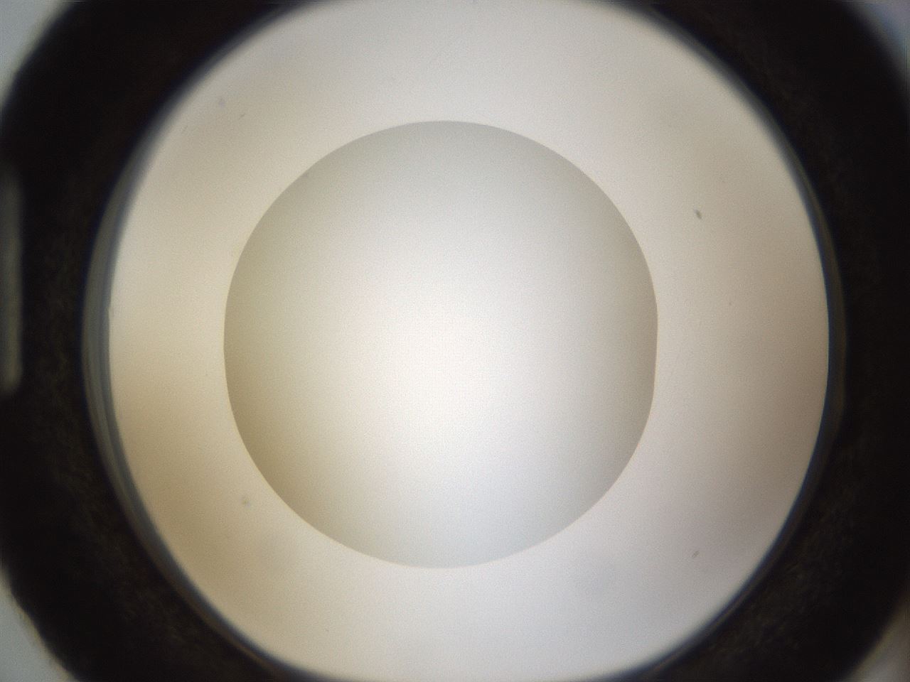 folderID303_plateID1303_batchID4303_wellNum87_profileID1_d1_r78574_ef.jpg