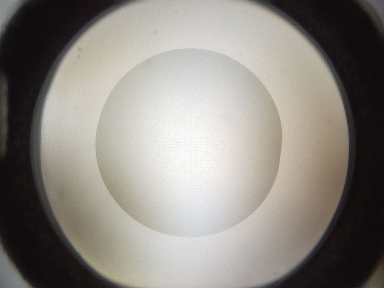 folderID303_plateID1303_batchID4303_wellNum88_profileID1_d1_r78575_ef.jpg
