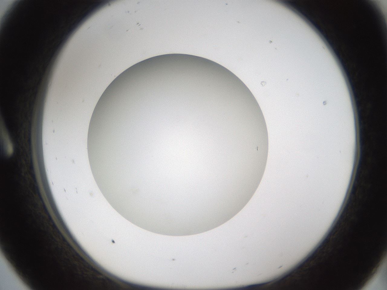 folderID303_plateID1303_batchID4303_wellNum8_profileID1_d1_r78495_ef.jpg