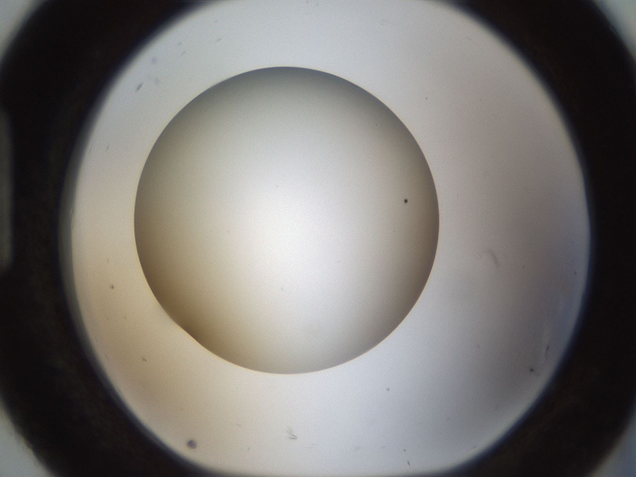 folderID303_plateID1303_batchID4303_wellNum92_profileID1_d1_r78579_ef.jpg