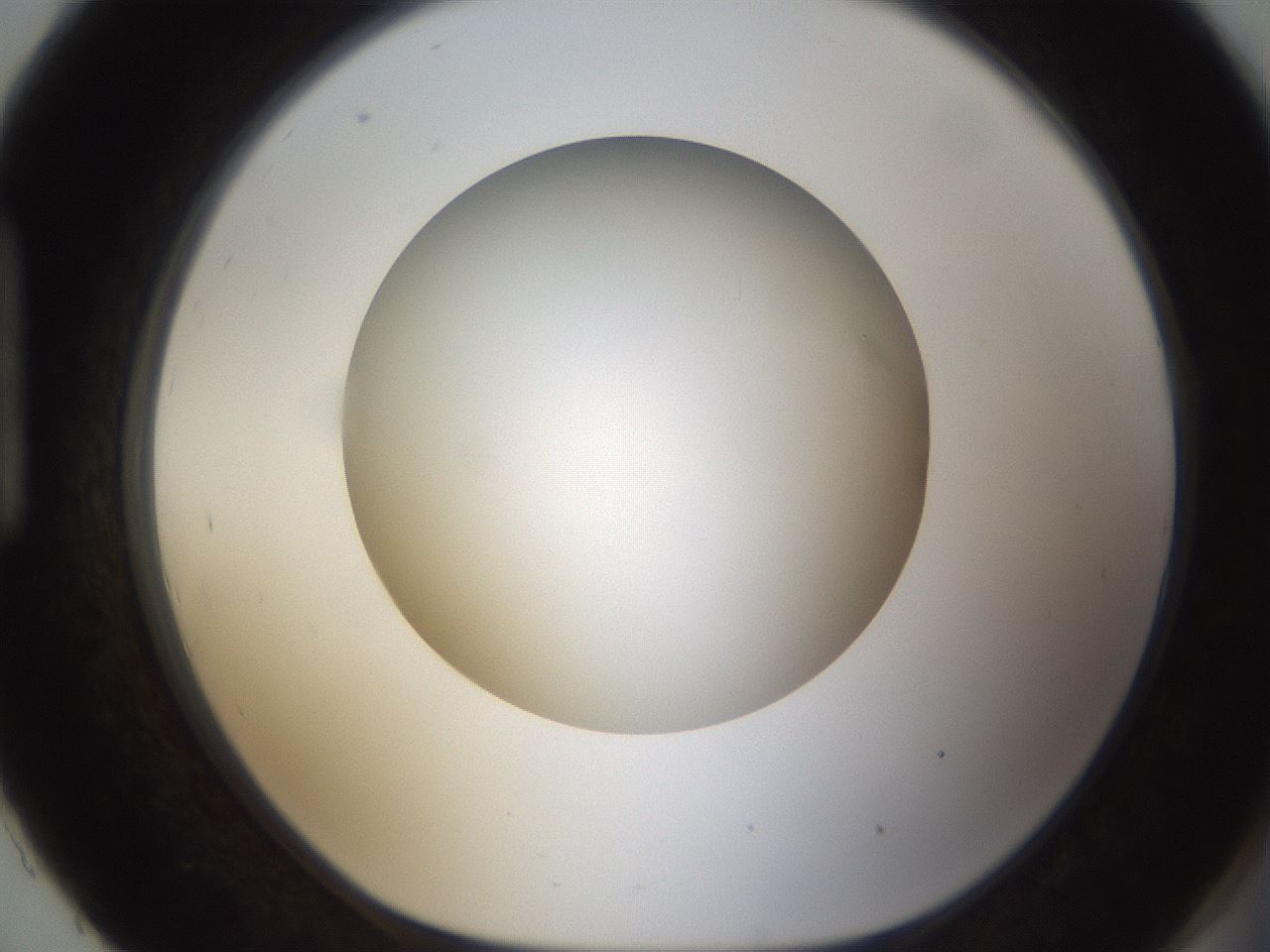folderID303_plateID1303_batchID4303_wellNum93_profileID1_d1_r78580_ef.jpg
