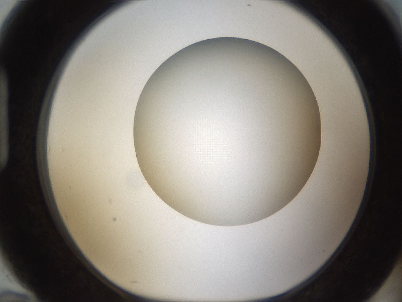 folderID303_plateID1303_batchID4303_wellNum94_profileID1_d1_r78581_ef.jpg