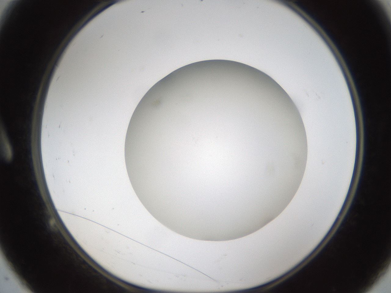 folderID303_plateID1303_batchID4303_wellNum9_profileID1_d1_r78496_ef.jpg