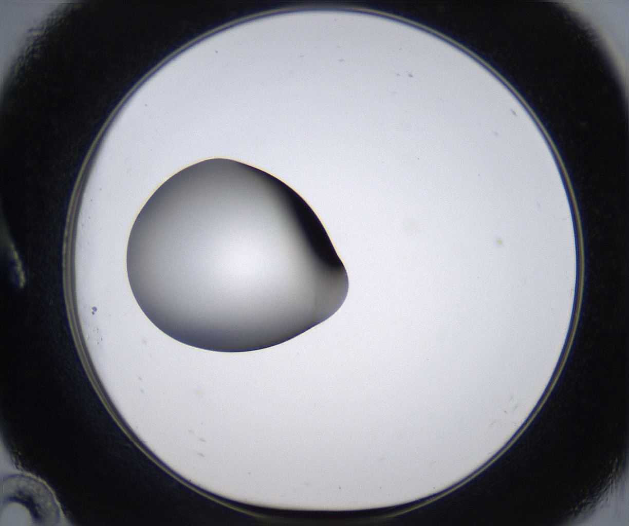 folderID303_plateID2303_batchID10849_wellNum10_profileID1_d1_r161143_ef.jpg