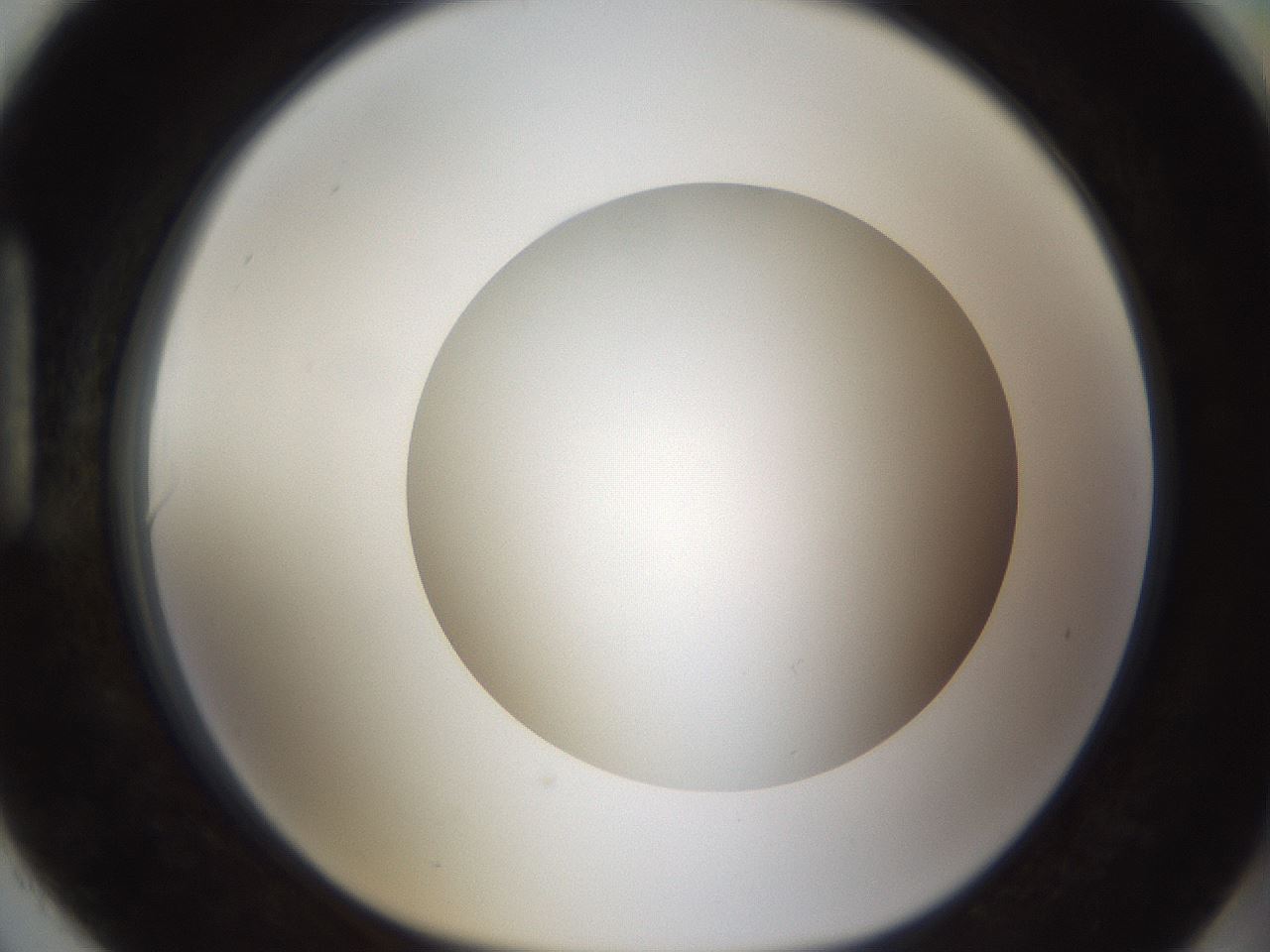 folderID303_plateID1303_batchID4303_wellNum90_profileID1_d1_r78577_ef.jpg