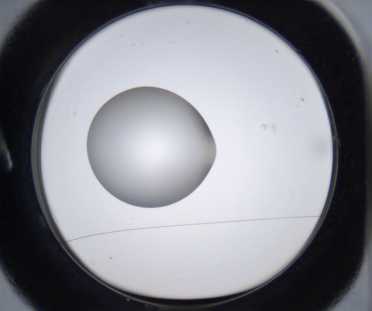 folderID303_plateID2303_batchID10849_wellNum1_profileID1_d1_r161134_ef.jpg