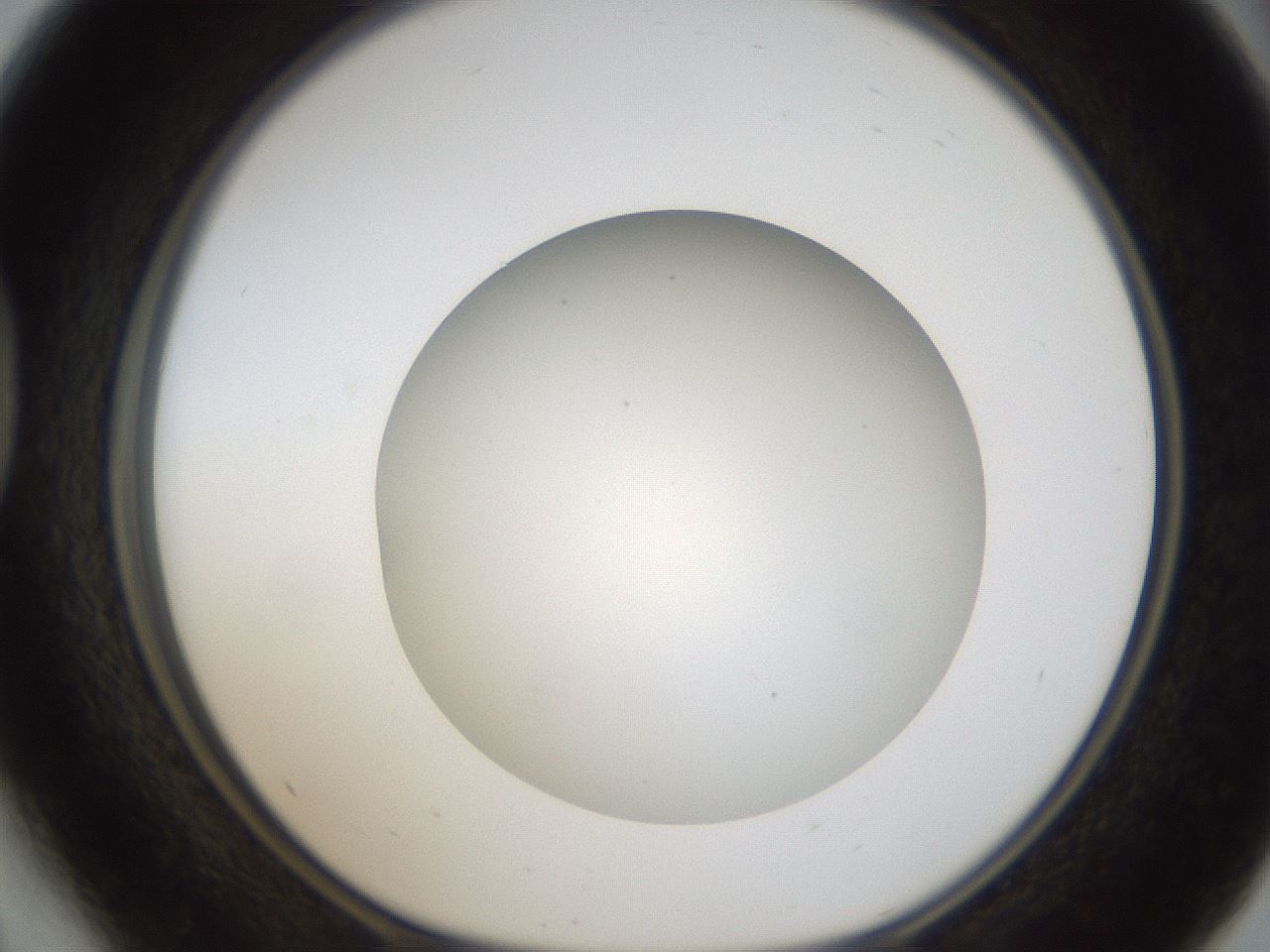 folderID304_plateID1304_batchID4270_wellNum41_profileID1_d1_r78816_ef.jpg