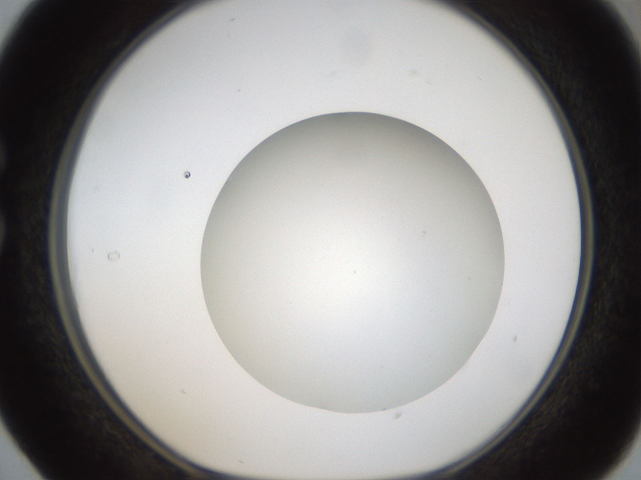 folderID304_plateID1304_batchID4307_wellNum29_profileID1_d1_r78804_ef.jpg
